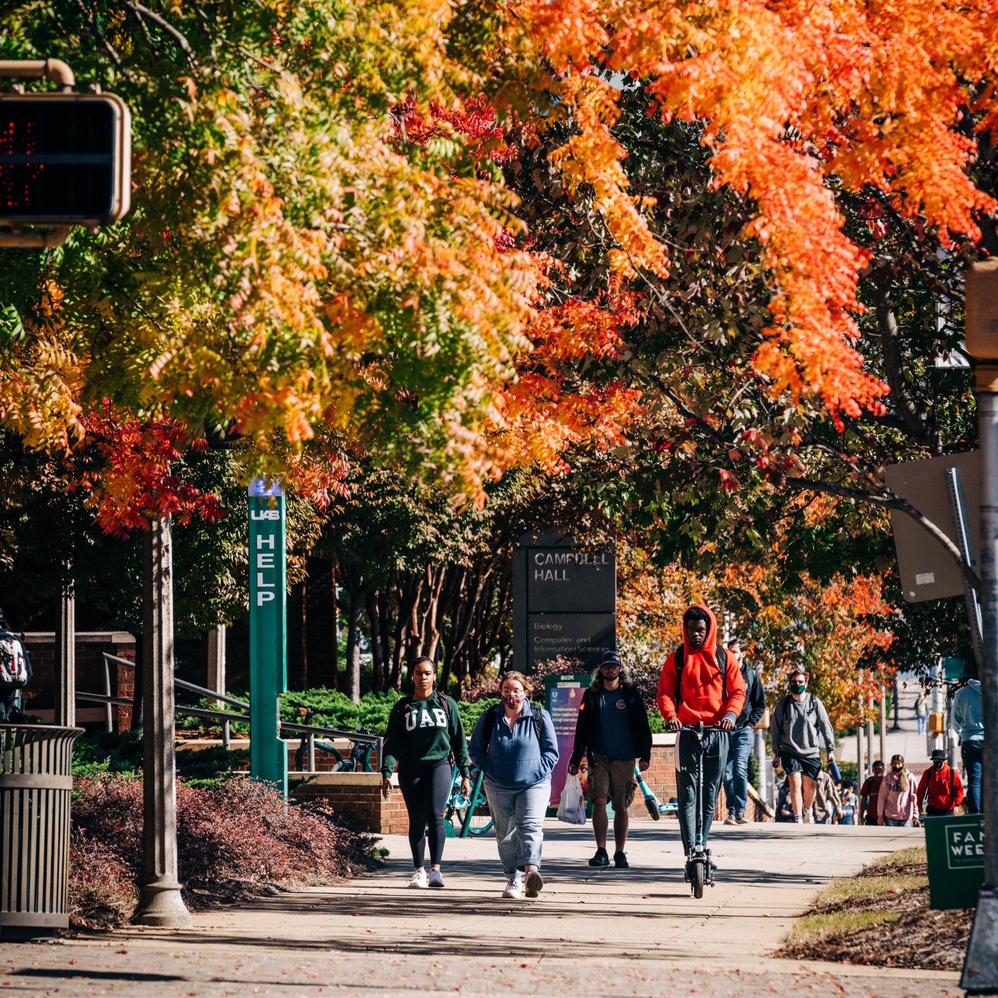 The University of Alabama at Birmingham