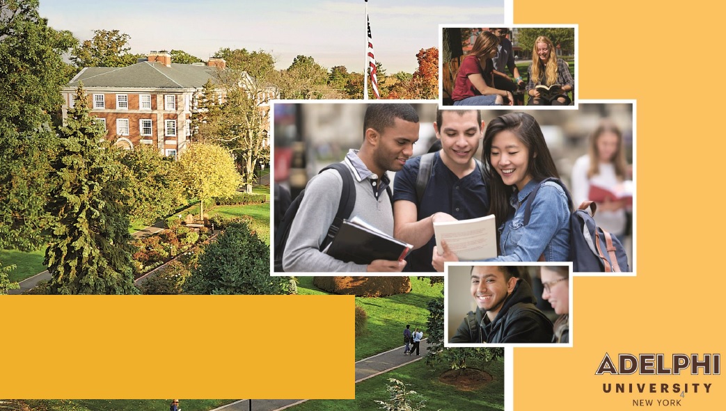 ADELPHI UNIVERSITY NGÔI TRƯỜNG LÝ TƯỞNG CHO NGÀNH TÀI CHÍNH