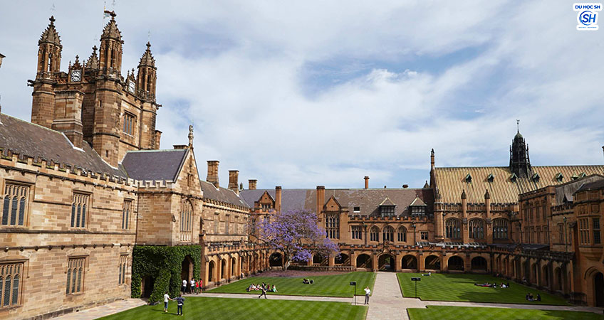 Những ngôi trường mơ mộng nhất ở Sydney dành cho du học sinh tại Úc